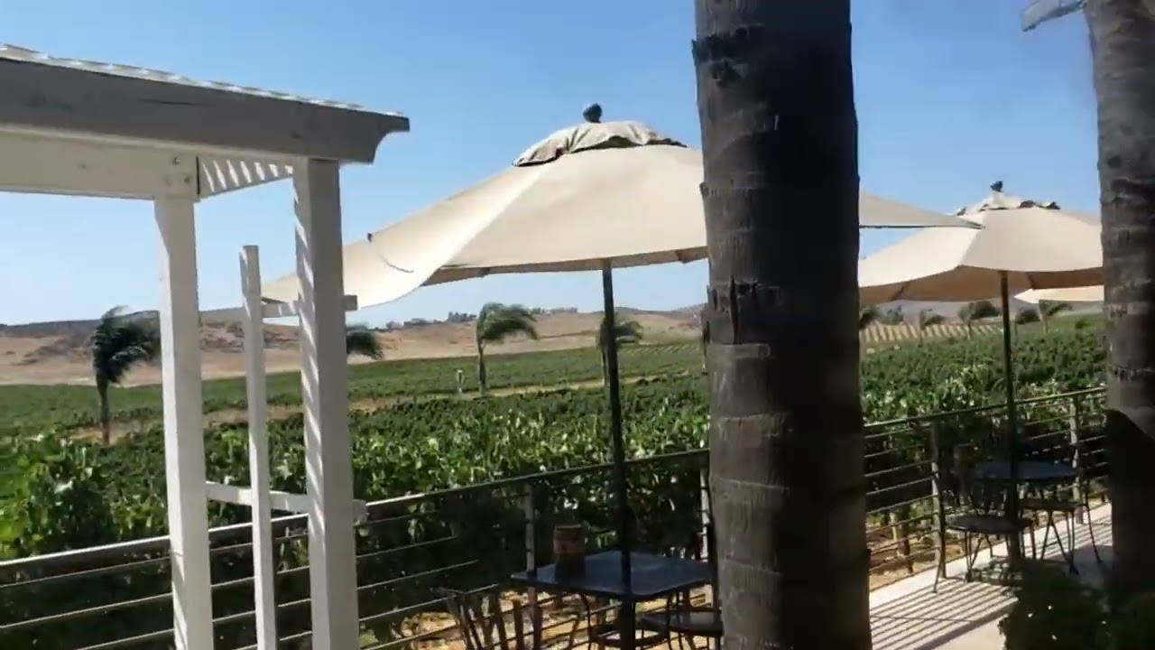 Best Winery in Temecula