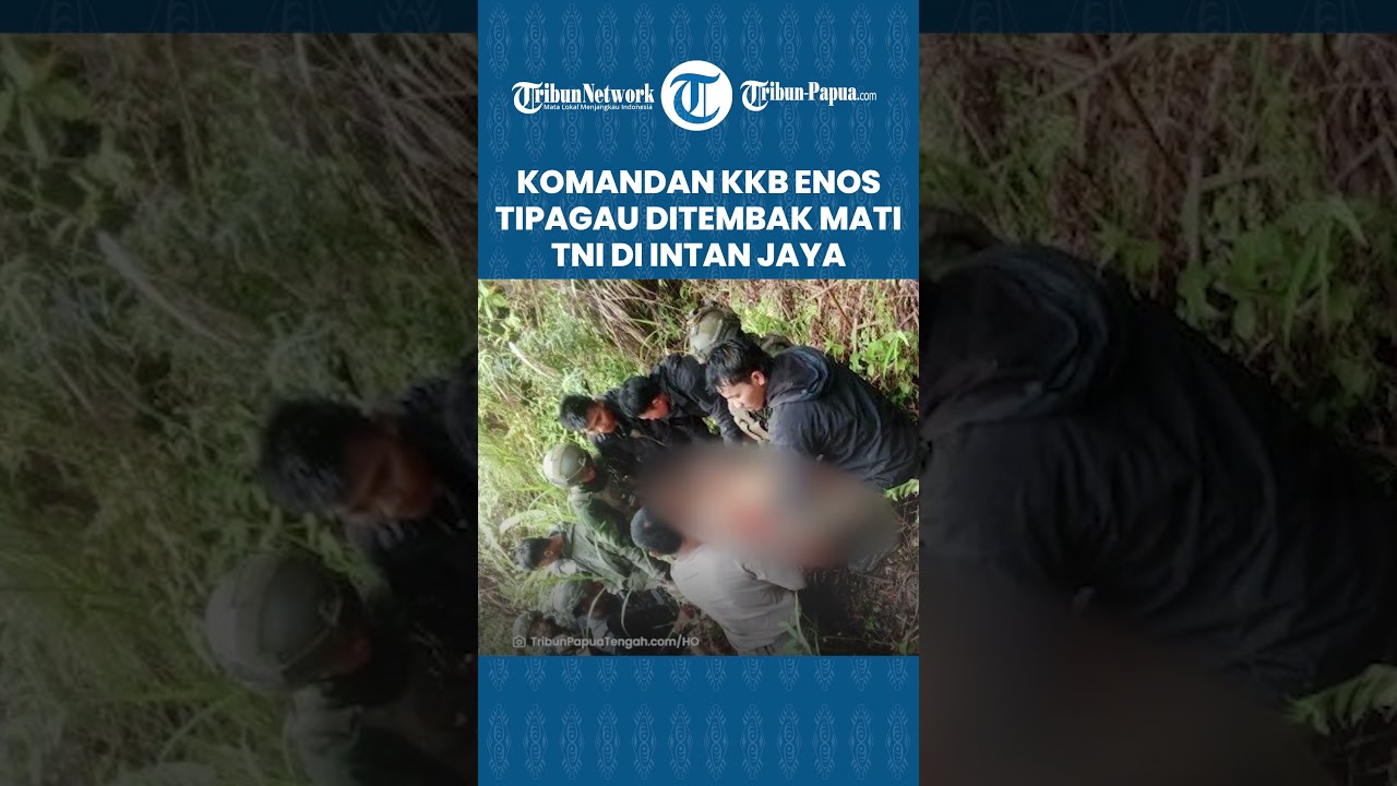 Sosok Komandan OPM Enos Tipagau yang Ditembak Mati TNI Polri di Intan Jaya, Dikenal Sadis dan Kejam
