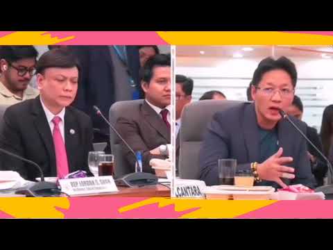 Curlee Discaya - mali ang binigay na listahan kay PBBM?