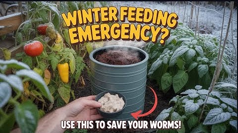 How to Keep Soil Worms ALIVE in Freezing Weather (This Food Generates HEAT!)