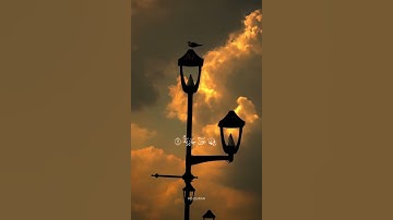 وجوه يومئذ ناعمة - سورة الغاشية | ياسر الدوسري