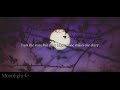 MOONLIGHT ―。- Plastic Tree (English Subtitles)