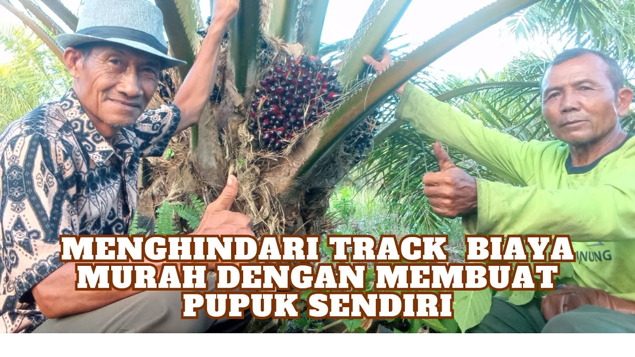 MENGHINDARI TRACK DENGAN PUPUK BUATAN SENDIRI