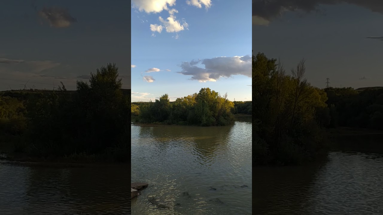 Nature 🌴 travel🧳 Spain 🇪🇸 El bocal Tudela 🇪🇸 River 🌊