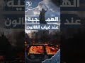 أحداث فرنسا.. الهمجية عند غياب القانون