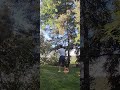no doubt foam ball treetops HR off a 105 mph equivalent (P is whipping it from 22.5 ft away) fb