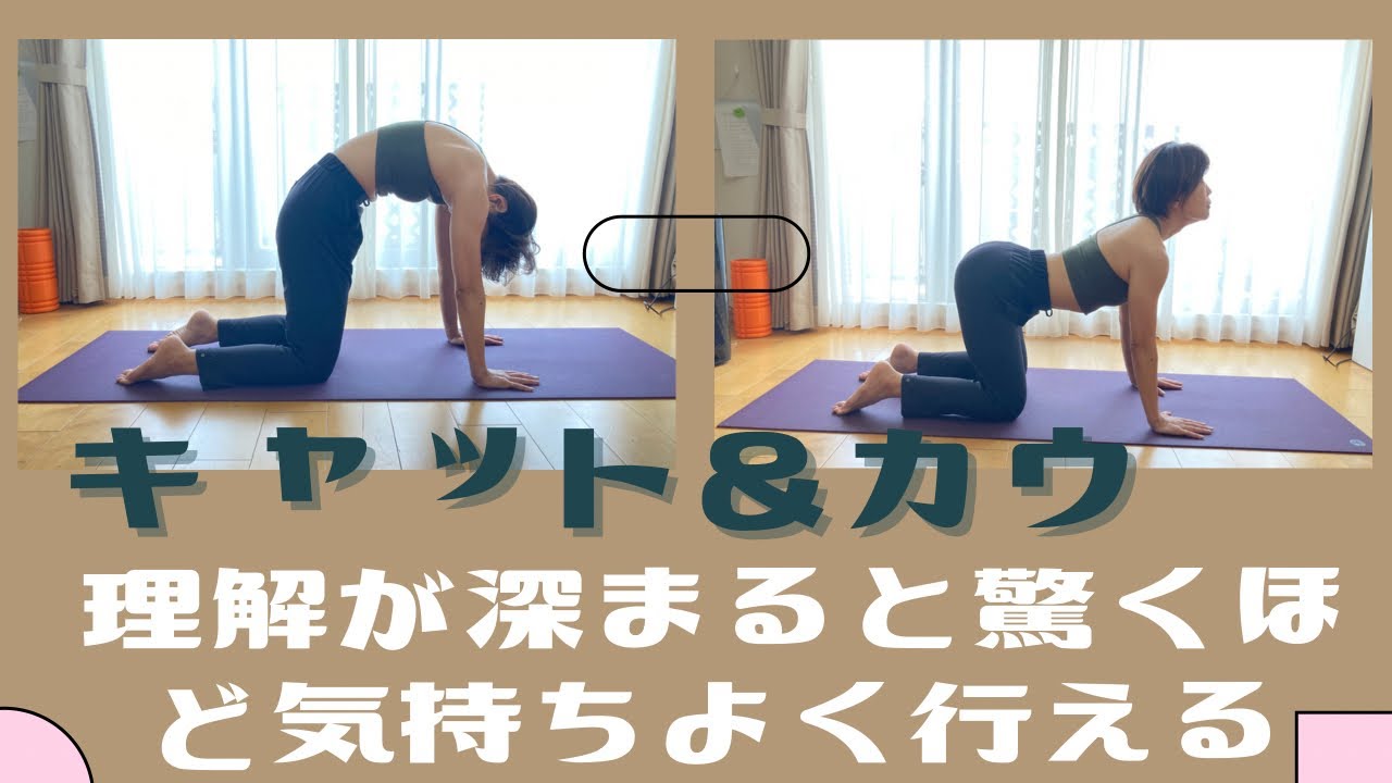 「解説」キャット&カウ　理解が深まると驚くほど気持ちよくできる　＃ヨガ　＃earthtreeヨガ　＃肩こり解消　＃オンラインヨガ