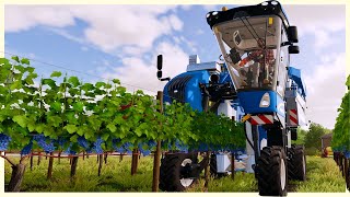 Building A Grape Vineyard From Scratch - Vineyard Farming & Grape Processing - Farming Simulator 22