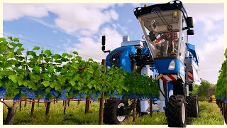 Building A Grape Vineyard From Scratch - Vineyard Farming & Grape Processing - Farming Simulator 22 screenshot 3