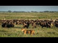 Tanzania: Great Migration Safari | Wilderness Travel