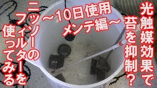 【アクアリウム・光触媒】ニッソー コンパクト パワー フィルター S ～10日使用・メンテ編～