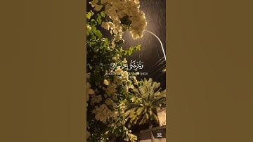سورة نوح❤️🎧#القرآن_الكريم #القرآن #قرآن #تلاوة_خاشعة #quran #like #subscribe #mydesign