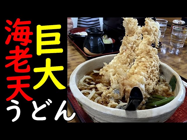 This is the Udon I've Been Craving! Hachimanan's Giant Shrimp