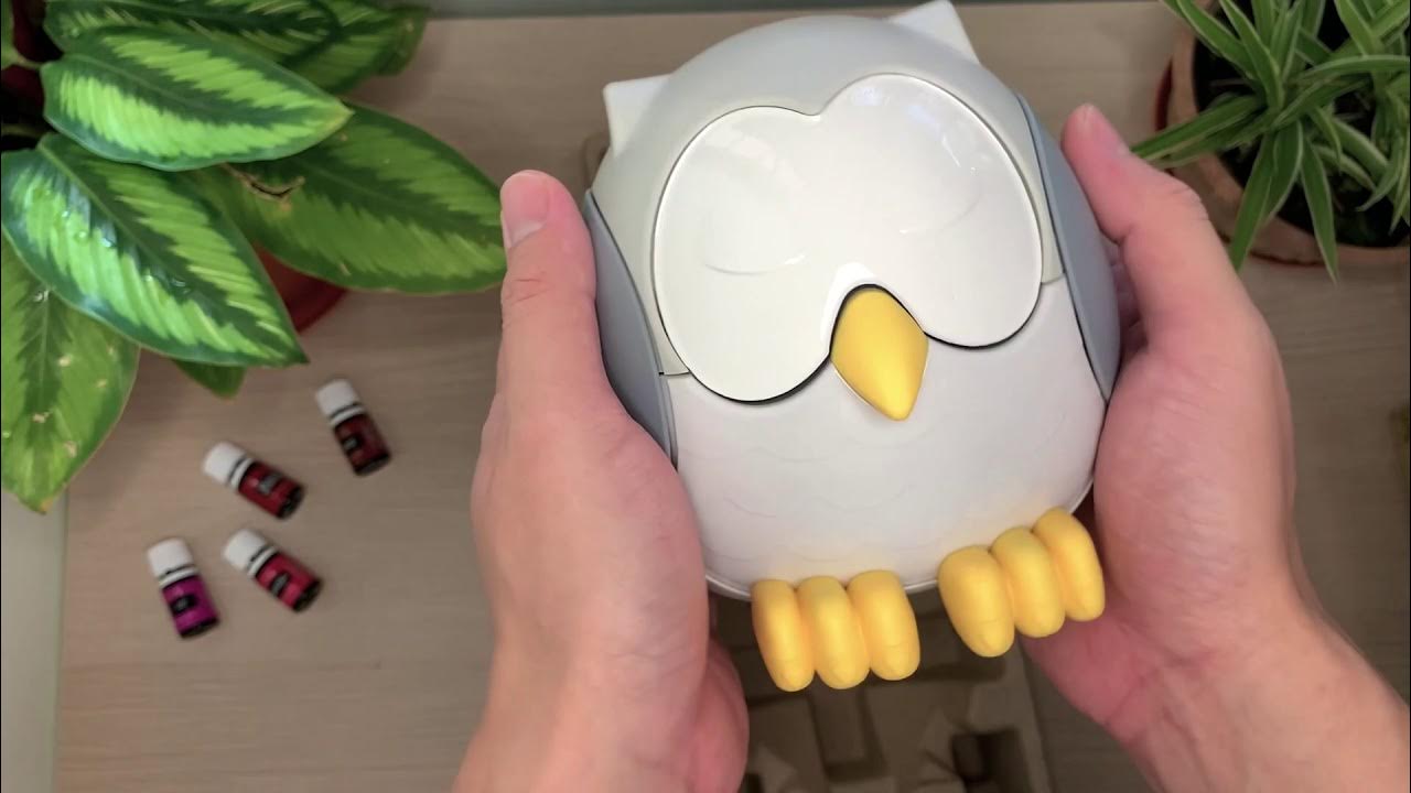 Young Living Owl Diffuser Unboxing YouTube
