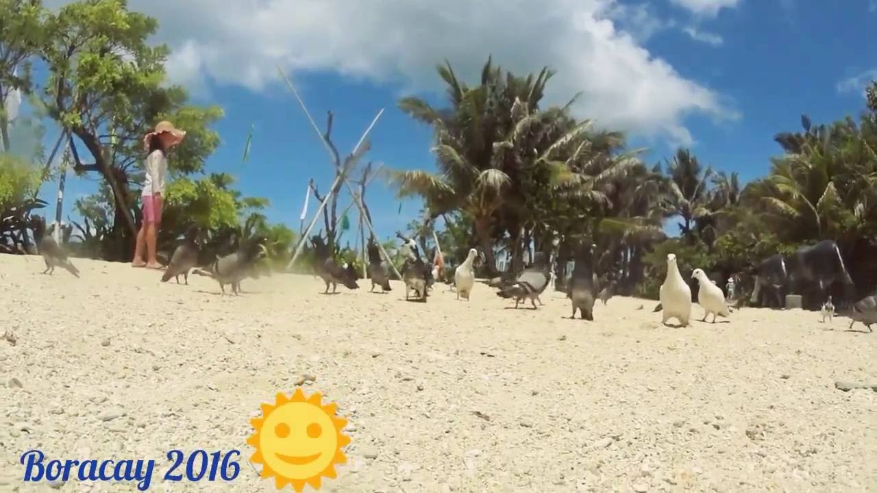 Boracay Petix 2016