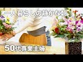 【50代】【専業主婦日々の暮らしVLOG】夫は長期出張中/夜明け前の朝家事/一人暮らしの静かな朝/朝ごはん/愛犬トイプードル/専業主婦の日常