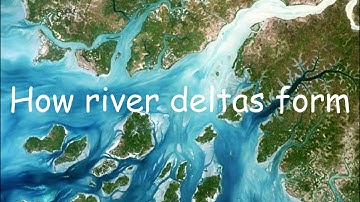 How do river deltas form?