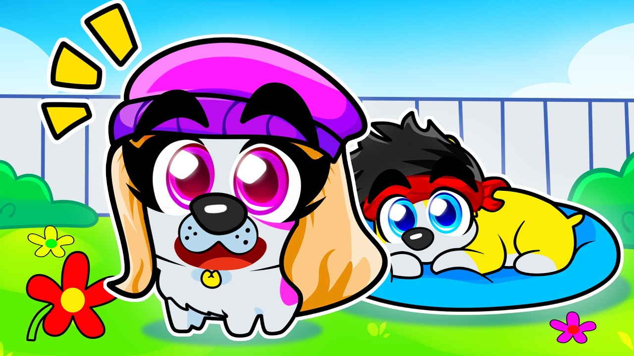 HITTA DE SÖTA HUNDVALPARNA! 🐶