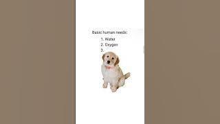 Basic human needs
