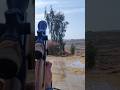 مرعتهه مرع اقوى لقطات الصيد ليريد لقطه يكتبلي اسمه الصيد البر قميري الحمام اذكروالله 