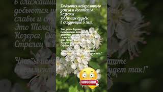 Эти знаки Зодиака добьются невероятного успеха: названы любимцы судьбы в следующие 5 лет 9200