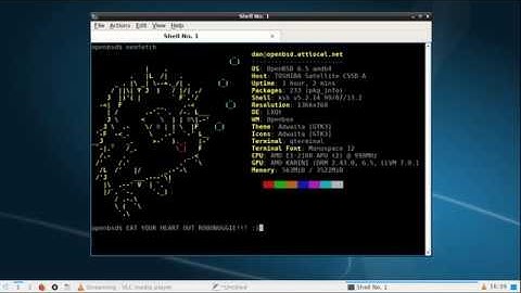 Just having some OpenBSD (with no systemd) fun!