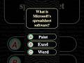 What is Microsoft spreadsheet software?
