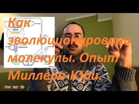 Как эволюционировали молекулы. Опыт Миллера-Юри.