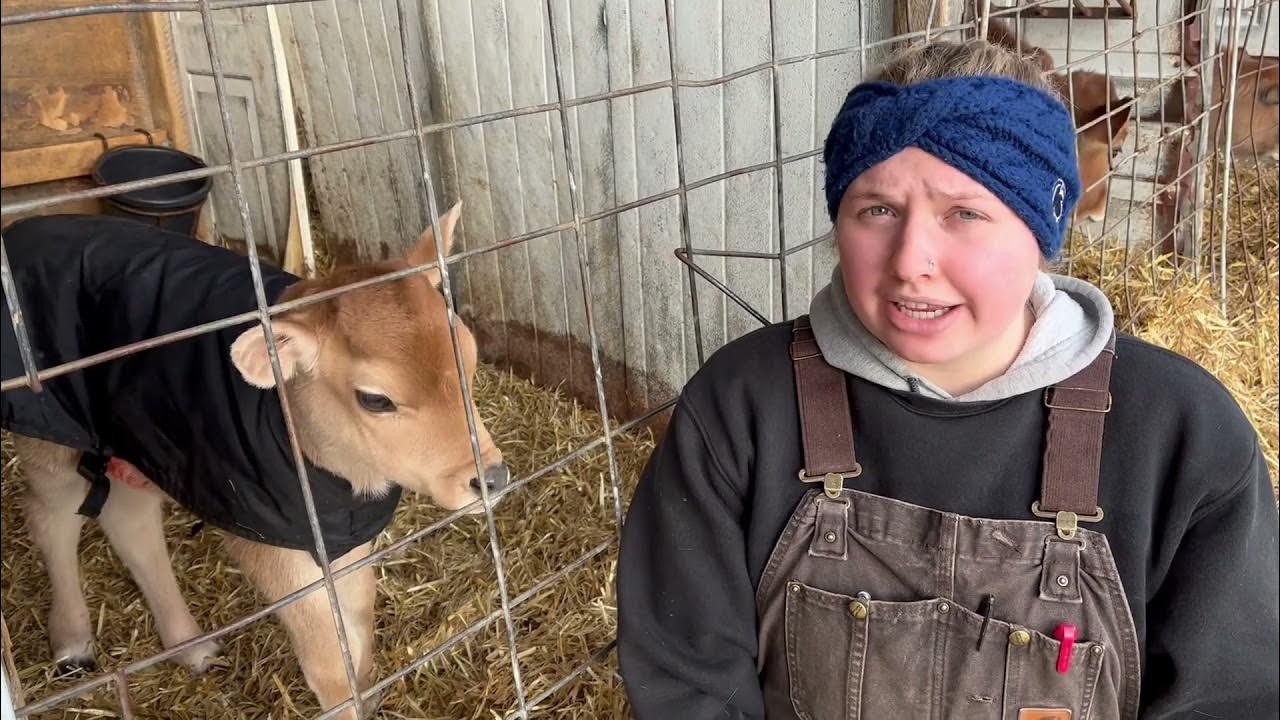 Farm Credit Foundation Scholarship Video Caroline Arrowsmith YouTube