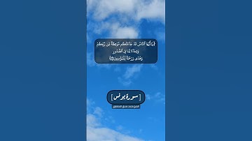 سورة يونس الآية ٥٧ و ٥٨ بصوت الشيخ محمد صديق المنشاوي