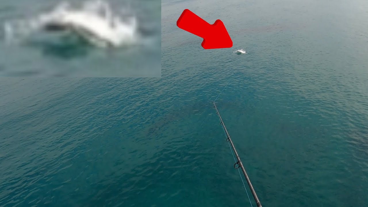 LAKE WORTH PIER FISHING