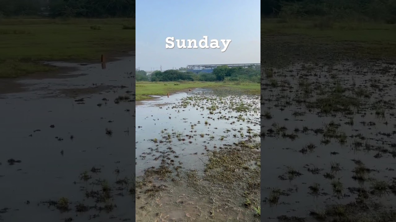 Rain on Cricket Day | Water on Cricket Pitch 