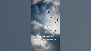 أَفَلَا يَنظُرُونَ إِلَى ٱلۡإِبِلِ كَيۡفَ خُلِقَتۡ|من سورة الغاشيه:تلاوة خاشعه|القارئ عبدالرحمن مسعد