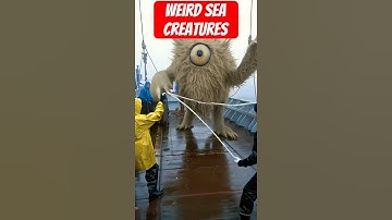 Creepy Sea Monsters ...      #cursed #weirdcore #seamonster
