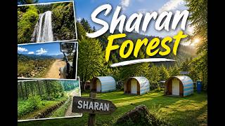 Hidden Gem Of Kaghan Valley  Sharan Forest Travel Guide U0026 Vlog