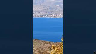 Tatvana Gel...❤️