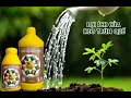 CHẾ PHẨM VI SINH TRONG TRỒNG TRỌT| SẢN PHẨM TKS - KEO TRÙN QUẾ/ Vlog Nông Nghiệp