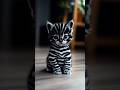 Cute striped kittens 🐱✨ Adorable cats! Meow meow!