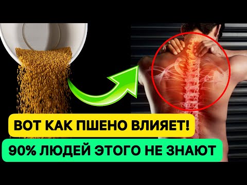 Вот как ПШЕНО влияет на организм человека! 90 людей этого не знают, жаль... #пшено #пшеннаякаша