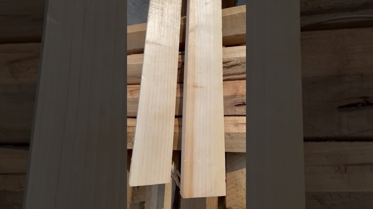 Grade A English Willow Clefts Available For Customized Cricket Bats