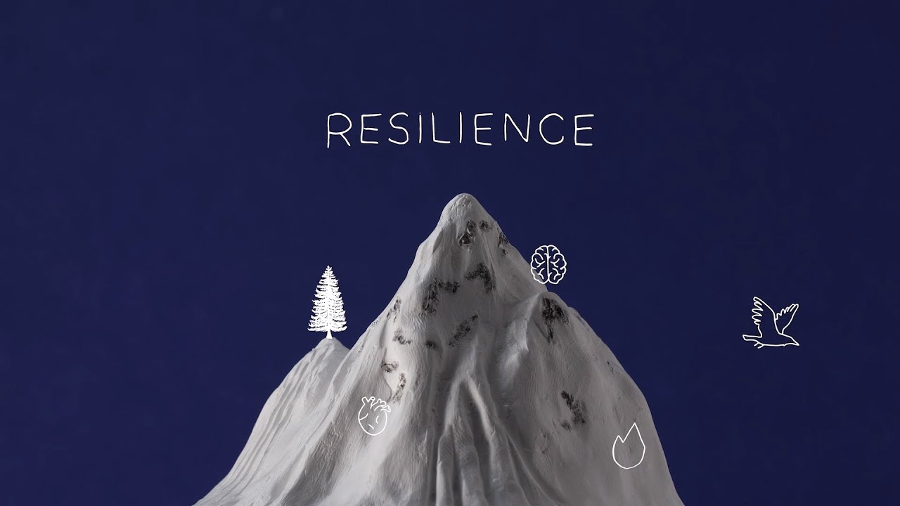 Resilience