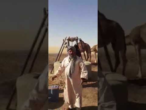 ولاد غيلان مالي