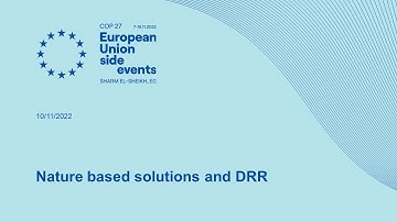 Nature based solutions for reducing disaster risks in humanitarian contexts