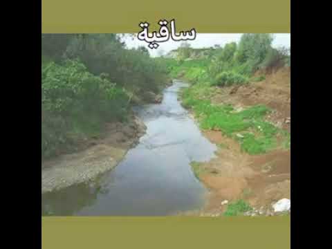 فيديو شرح عن المدن الفلسطينية الطالبة مرح النادي عاشر ج