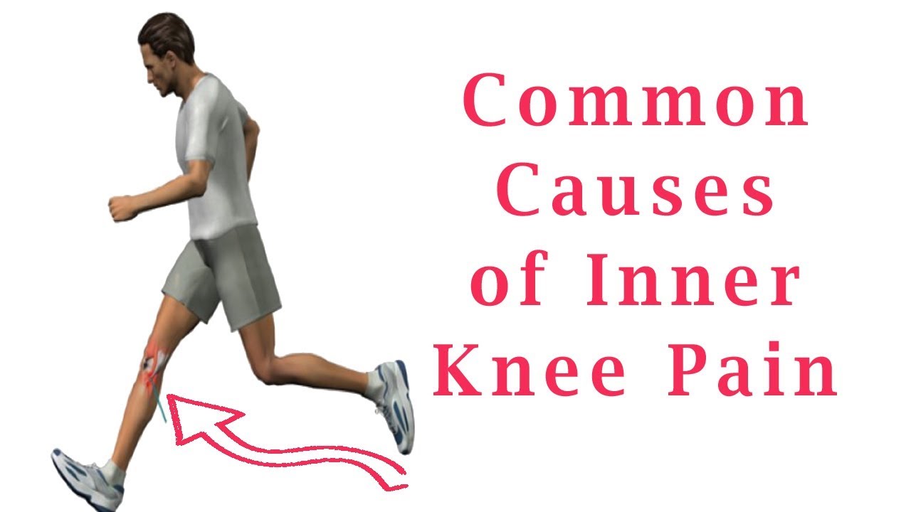 Inner Knee Pain | Common Causes of Inner Knee Pain - YouTube