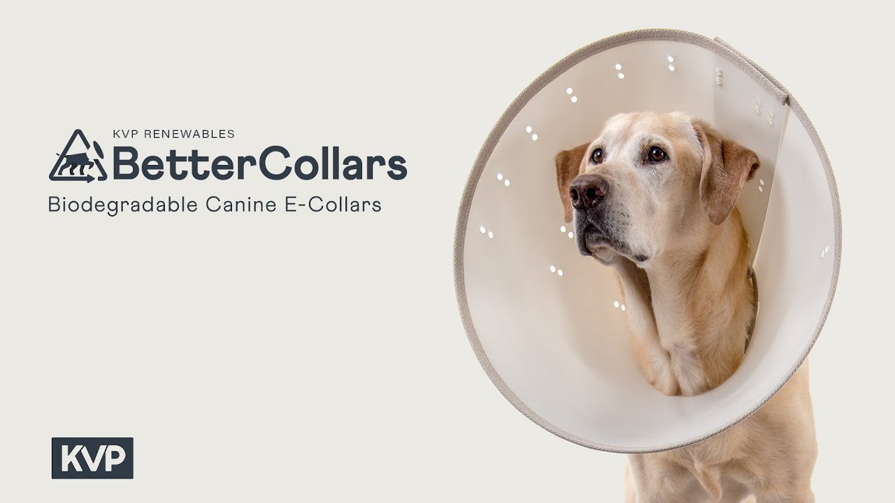 KVP BetterCollar Biodegradable Canine ECollars YouTube