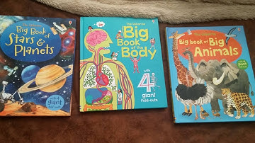 Usborne lift the flap and storybooks