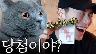 봄이 그렇게 좋냐...?🌸 고양이 목욕 하고 "봄맞이" NEW 베로 방 꾸미기...! ⭐️달바 마켓공지⭐️