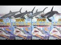 神秘の世界 大海の生物 海のハンター ホホジロザメ編 全4種 Shark Figure 食玩 Japanese candy toys