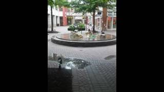 Scenery at Short Pump